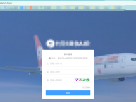 为什么在通过域名可正常WEB访问,而直接通过IP地址访问却不成功?
