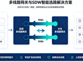某集团公司SDW组网+集中管理BBC项目案例